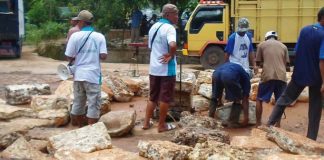 harga-karet-turun