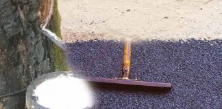karet untuk campuran aspal