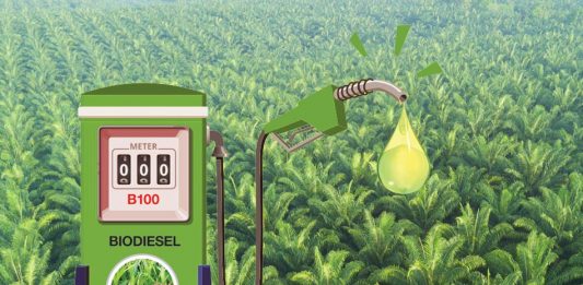 Ditjen EBTKE Tetapkan HIP BBN Biodiesel dan Bioetanol biodiesel-indonesia