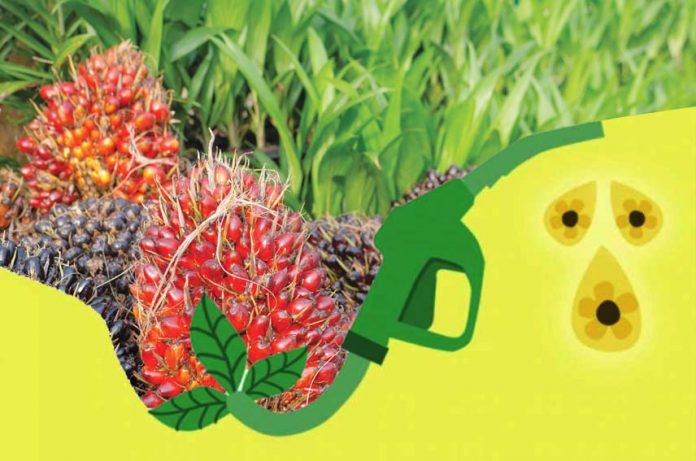 program biodiesel indonesia