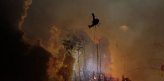 Gapki Siaga Hadapi Kebakaran Lahan kebakaran hutan dan lahan