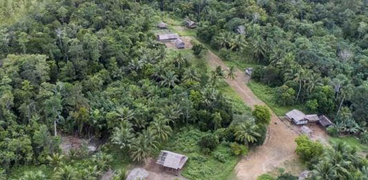 hutan adat