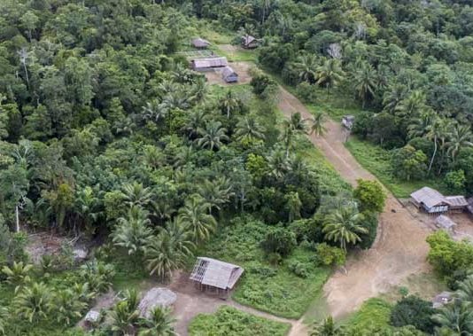 hutan adat