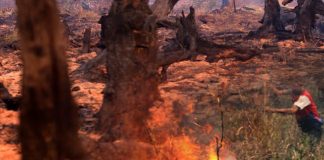 Pemerintah Diminta Serius Cegah Kebakaran Lahan kebakaran hutan dan lahan