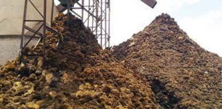 Bantuan Kredit untuk Listrik dari Limbah CPO