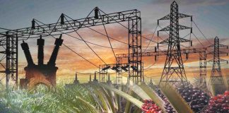 PLN Lakukan Uji Coba Pembangkit 100% CPO listrik pakai sawit