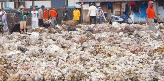 harga karet di pasar