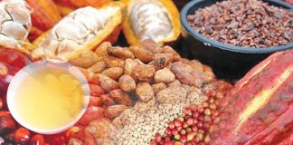 contoh produk perkebunan