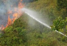 wilmar cegah kebakaran lahan