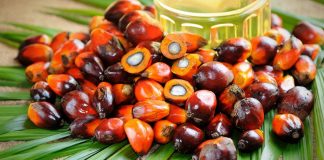 Kebijakan Perpajakan Pada Industri Perkebunan Dalam Merespon Covid-19
