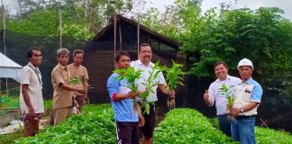 Sinar Mas Agribusiness and Food, Raih dua penghargaan TOP CSR Awards 2020