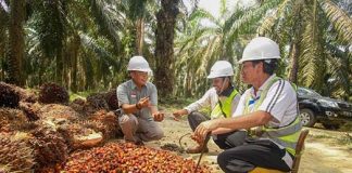 Cargill Tropical Palm dan YIDH Membantu Petani Sawit Swadaya Meningkatkan Produktifitas Berkelanjutan