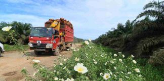 Asra Agro Raih ESG Award 2020