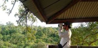 Masa Pandemi Covid-19, Rehabilitasi Hutan dan Patroli Area Konservasi  Tetap Berjalan