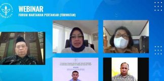 Industri Sawit Solusi Pengentasan Kemiskinan di Papua