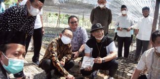 Stafsus Wapres Apresiasi Kebun Pembibitan Santripreneur UKMK Sawit Binaan BPDPKS dan APKASINDO