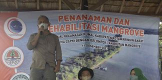 Komitmen Jaga Lingkungan GAPKI Rehabilitasi Mangrove