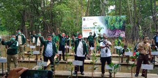 Apical Group Gandeng Pemerintah Selamatkan Mangrove di DKI Jakarta
