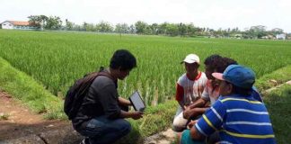 Komunikasi Digital, Strategi Syngenta Indonesia Mendukung Petani di Masa Pandemi