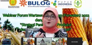 Bulog Siap Jaga Stabilitas Pasokan Jagung