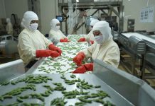 Kinerja Operasi dan ESG Tingkatkan Laba Bersih ANJ 18 Kali Lipat