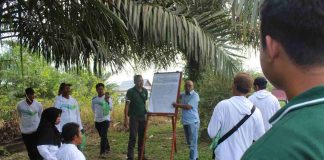 Wilmar Ajak 3.600 Petani Swadaya Tingkatkan Kapabilitas Pengelolaan Kebun