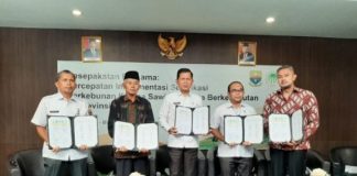 RSPO-ISPO Bersinergi Meningkatkan Inklusi Pekebun dalam Ekosistem Sawit Berkelanjutan