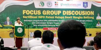 BPDPKS dan Apksindo Gelar FGD Sertifikasi ISPO Petani Kelapa Sawit Bangka Belitung