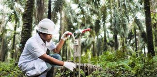 Beasiswa Sinar Mas Tawarkan Dana Pendidikan hingga Peluang Kerja