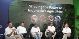 Syngenta Dukung Masa Depan Pertanian Berkelanjutan