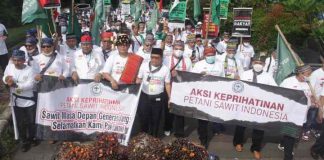 Petani Sawit Turun ke Jalan, Protes Kebijakan Eropa