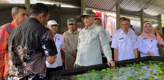 Wamentan Dorong Pisang Blitar Tembus Pasar Ekspor Lewat Korporasi Petani