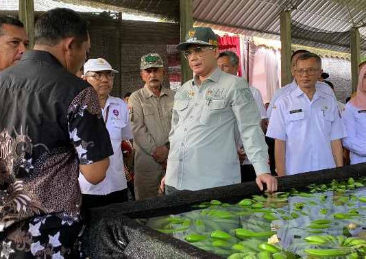 Wamentan Dorong Pisang Blitar Tembus Pasar Ekspor Lewat Korporasi Petani