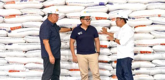 Skenario Pemerintah Amankan Stok Pangan Pokok Tahun 2024