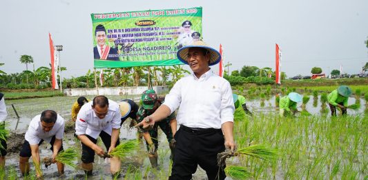 Mentan Amran Pastikan Presiden Jokowi Setujui Diskon Pupuk Subsidi 40 Persen