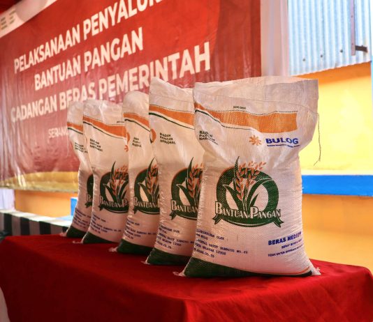 Bapanas Pastikan Penyaluran Bantuan Pangan Beras Tepat Sasaran