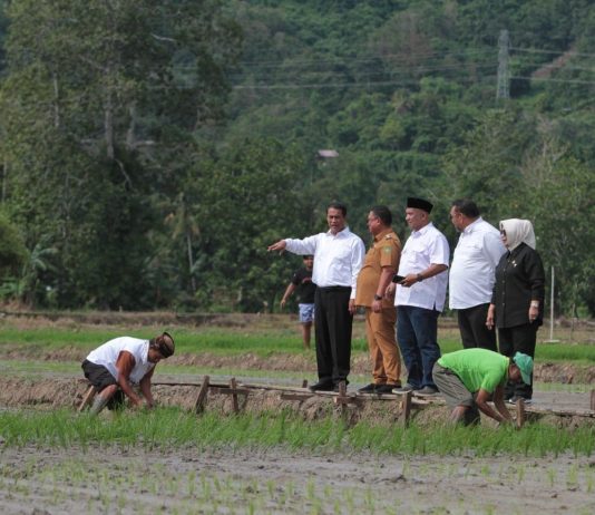 Amankan Produksi Melimpah, Kementan dan Bapanas Ajak Stakeholder Sambut Panen Raya 2024