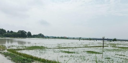 Kementan Mitigasi Banjir Grobogan