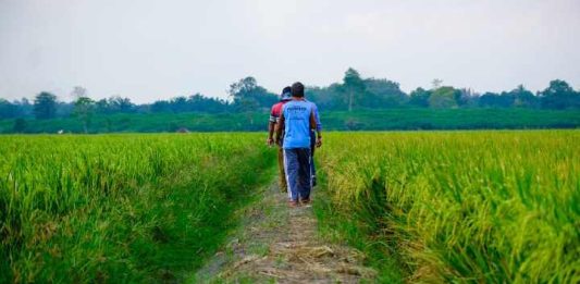 Wilmar Perkuat Kemitraan Dengan Petani