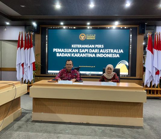 Barantin Lakukan Tindakan Karantina terhadap Sapi dari Australia