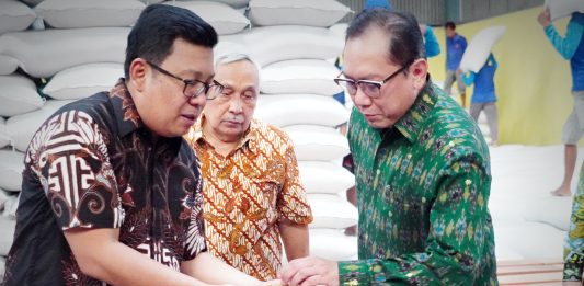 Bapanas Dorong Perpadi Bantu Bulog Perkuat CPP