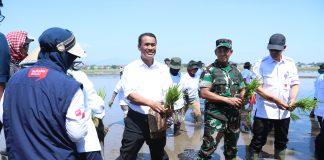 Genjot Produksi Beras, Mentan Amran Dorong Pemanfaatan Inovasi Teknologi