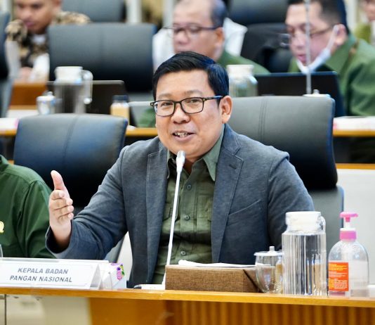 Bos Bapanas Kerahkan Jajarannya Bantu Petani Bawang Merah dan Tomat