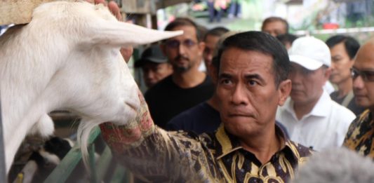 Mentan Amran Dongkrak Produksi Daging untuk Program Makan Bergizi