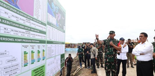 Mentan Amran Cek Optimalisasi Lahan Pertanian di Merauke