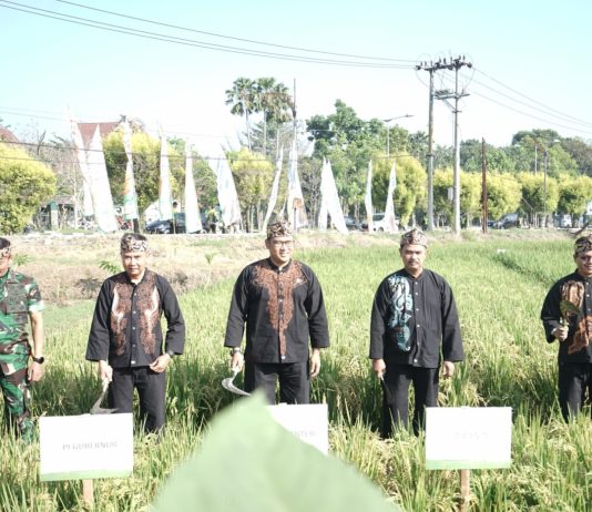 Buka Gebyar Perbenihan, Wamentan Sudaryono Akselerasi Swasembada Pangan