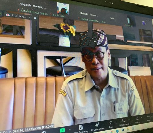 Kementan Siap Dongkrak Produksi Padi di Musim Kemarau