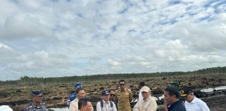 Pemerintah Komitmen Wujudkan Merauke sebagai Lumbung Pangan Dunia