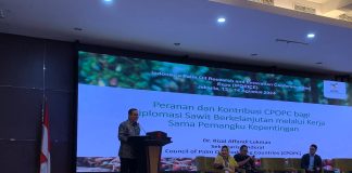 Keberlanjutan Sawit Indonesia di Persimpangan Jalan