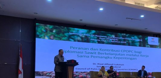 Keberlanjutan Sawit Indonesia di Persimpangan Jalan